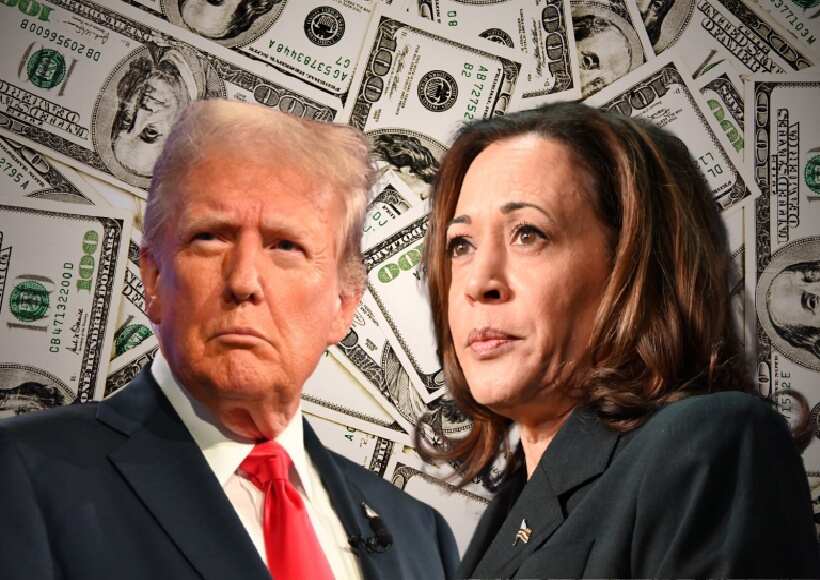 Donald Trump ou Kamala Harris