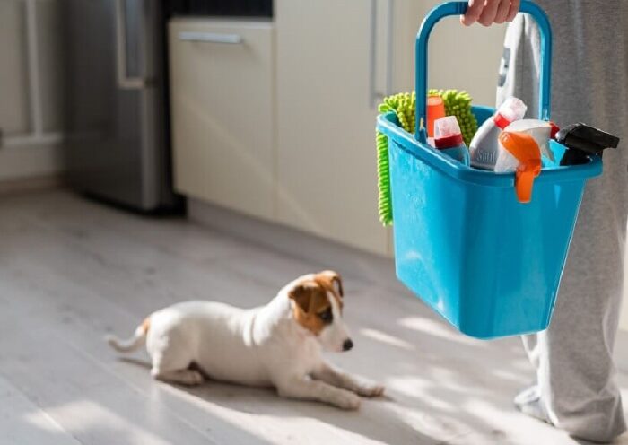 Limpeza em Casa com Pets