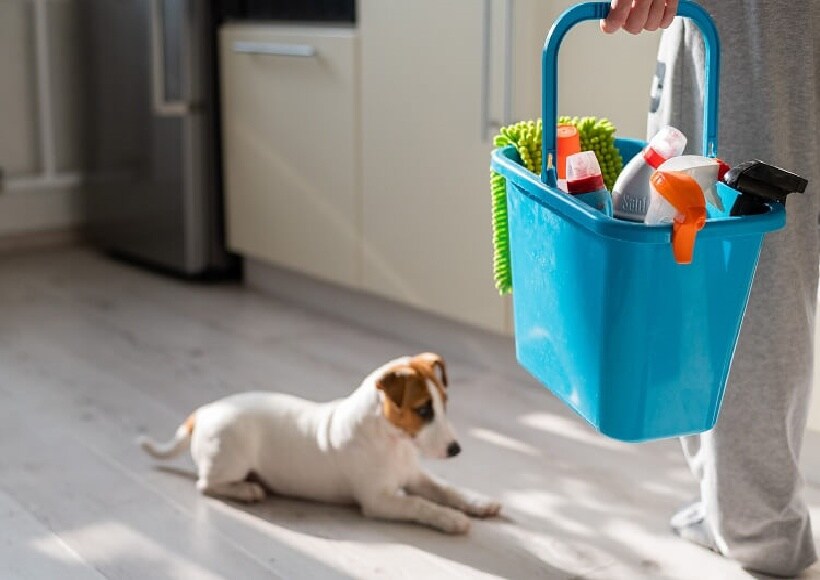 Limpeza em Casa com Pets