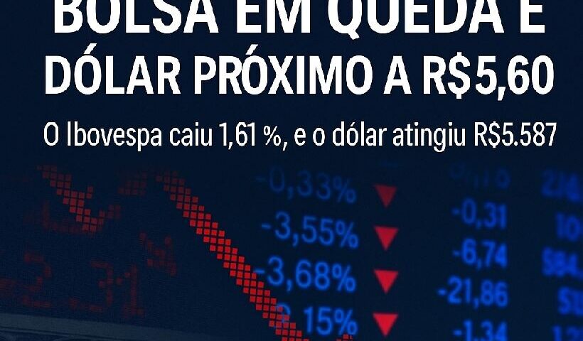 Bolsa despenca