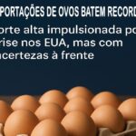Exportações Recorde de Ovos