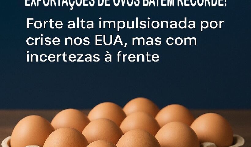 Exportações Recorde de Ovos
