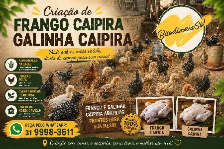 GWM Wey 07 Dark Edition chega ao Brasil com visual exclusivo e proposta ainda mais sofisticada por R$ 432 mil GWM Wey 07 Dark Edition chega ao Brasil com visual exclusivo e proposta ainda mais sofisticada por R$ 432 mil https://rede37.com.br/wp-content/uploads/2026/06/DIBULGACAO-3-1-5.jpg
