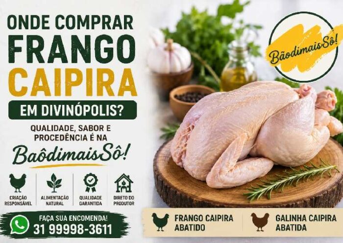 Onde comprar frango caipira em Divinópolis? Conheça a qualidade da BaôdimaisSô https://rede37.com.br/wp-content/uploads/2026/06/Onde-comprar-frango-caipira-em-Divinopolis.jpg
