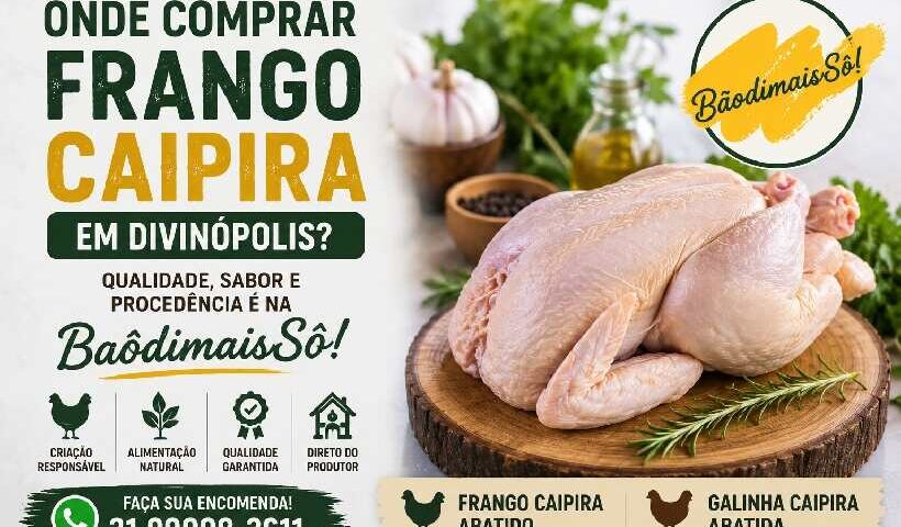 Onde comprar frango caipira em Divinópolis? Conheça a qualidade da BaôdimaisSô https://rede37.com.br/wp-content/uploads/2026/06/Onde-comprar-frango-caipira-em-Divinopolis.jpg