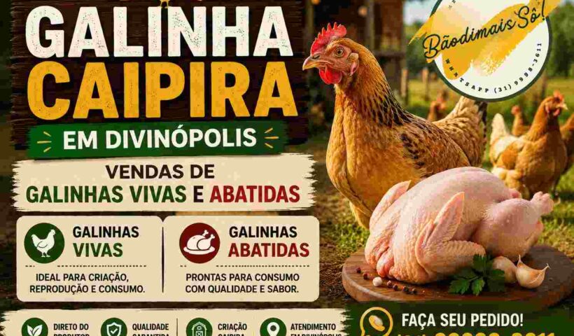 Galinha Caipira em Divinópolis: Venda de Galinhas Vivas e Abatidas com Qualidade https://rede37.com.br/wp-content/uploads/2026/06/galinha-caipira-divinopolis-viva-e-abatida.jpg