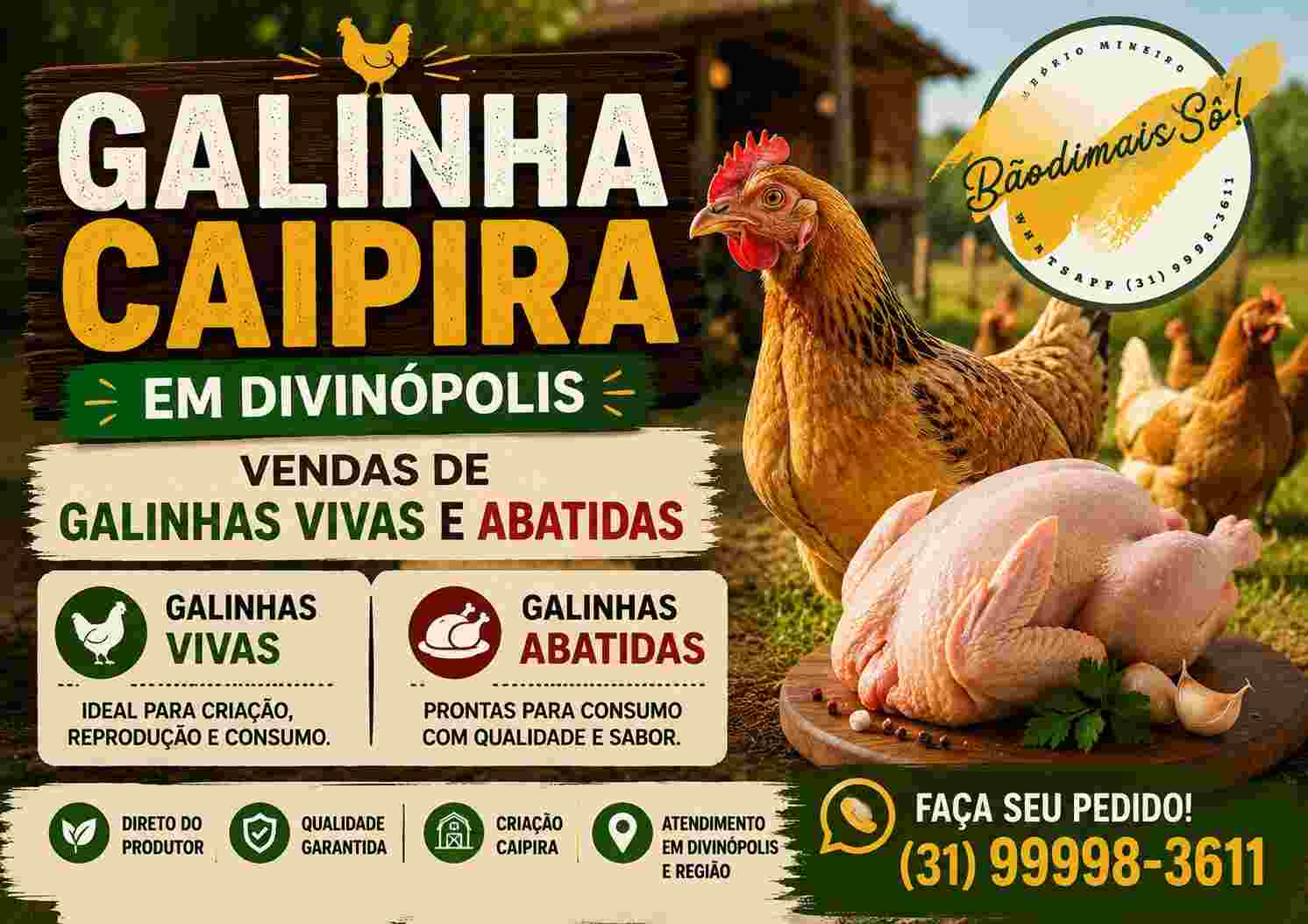 Galinha Caipira em Divinópolis: Venda de Galinhas Vivas e Abatidas com Qualidade https://rede37.com.br/wp-content/uploads/2026/06/galinha-caipira-divinopolis-viva-e-abatida.jpg