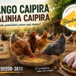 Frango Caipira em Divinópolis: Conheça a Qualidade da BaôdimaisSô https://rede37.com.br/wp-content/uploads/2026/06/vendo-galinha-e-frango-caipira.jpg
