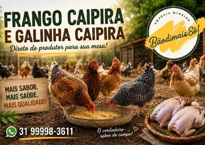 Frango Caipira em Divinópolis: Conheça a Qualidade da BaôdimaisSô https://rede37.com.br/wp-content/uploads/2026/06/vendo-galinha-e-frango-caipira.jpg
