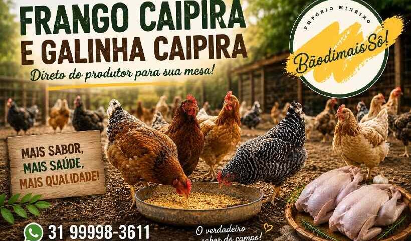 Frango Caipira em Divinópolis: Conheça a Qualidade da BaôdimaisSô https://rede37.com.br/wp-content/uploads/2026/06/vendo-galinha-e-frango-caipira.jpg