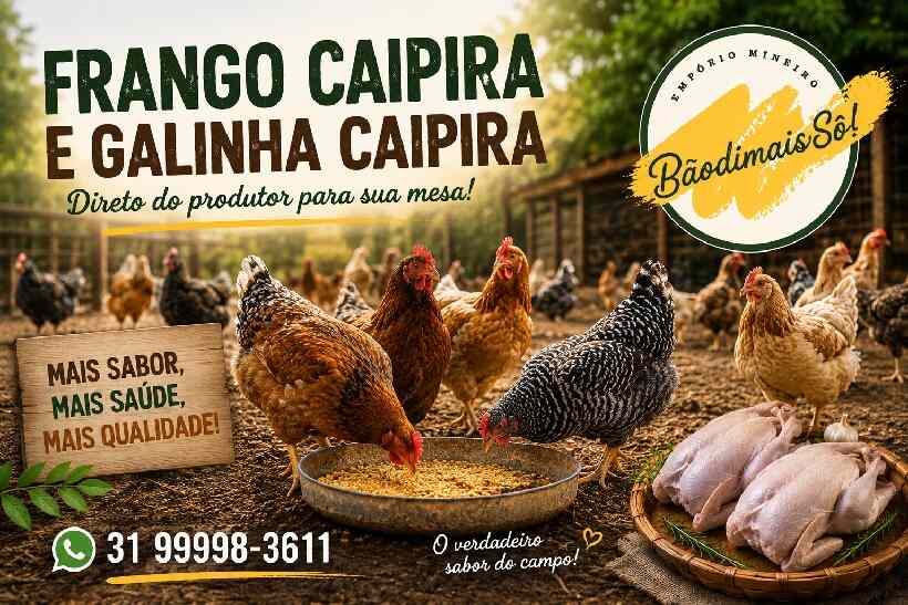 Frango Caipira em Divinópolis: Conheça a Qualidade da BaôdimaisSô https://rede37.com.br/wp-content/uploads/2026/06/vendo-galinha-e-frango-caipira.jpg